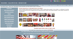 Desktop Screenshot of istanbulbalon.com